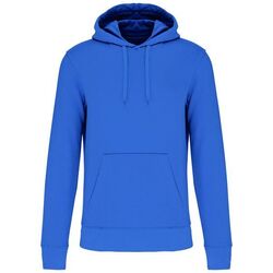 Sweat-shirt &agrave; capuche K4027 LIGHT ROYAL BLUE