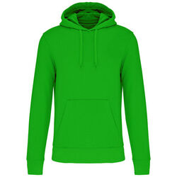 Sweat-shirt &agrave; capuche K4027 Brive La Gaillarde