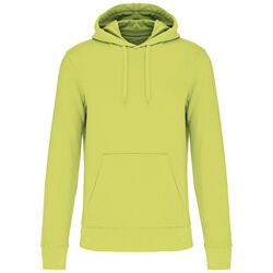 Sweat-shirt &agrave; capuche K4027 Brive La Gaillarde