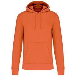 Sweat-shirt &agrave; capuche K4027 Brive La Gaillarde