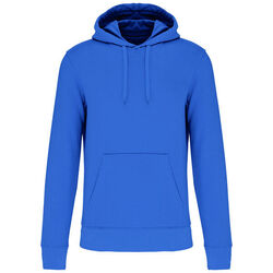 Sweat-shirt &agrave; capuche K4027 Brive La Gaillarde