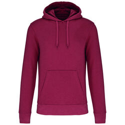 Sweat-shirt &agrave; capuche K4027 Brive La Gaillarde