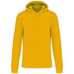 Sweat-shirt &agrave; capuche K4027 Brive La Gaillarde