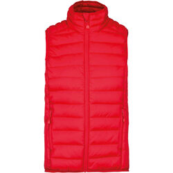 Bodywarmer Homme Doudoune L&eacute;g&egrave;re Brive La Gaillarde