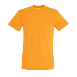 T-SHIRT MC H REGENT Brive La Gaillarde