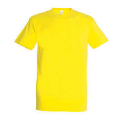T-Shirt Homme Imperial Brive La Gaillarde